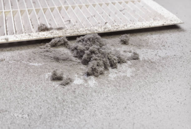 Best Home Air Vent Cleaning  in Wrightsville, AR