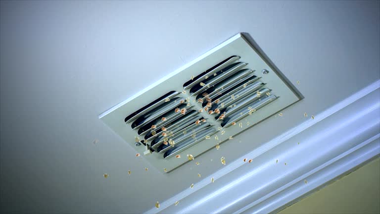 Best Ventilation Cleaning Services  in Wrightsville, AR