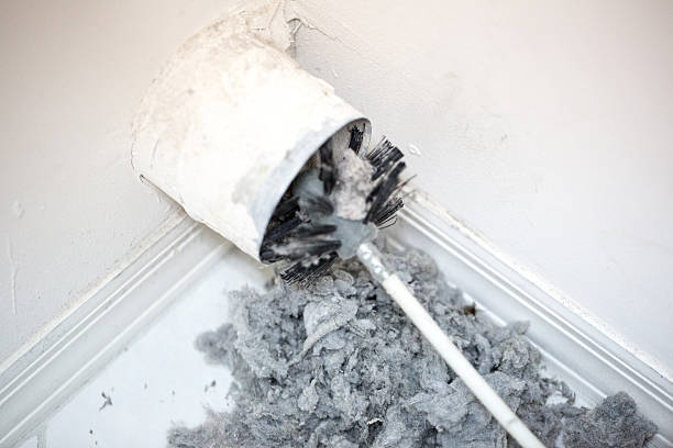 Best Air Duct Cleaning Near Me  in Wrightsville, AR